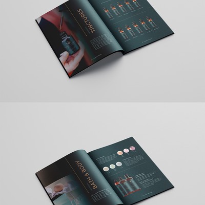 Brochure Design